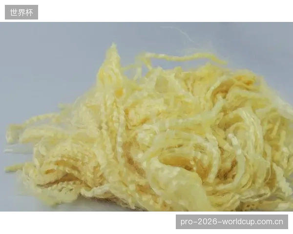 市场营销中普遍将芳纶纤维的防弹性能与其在赛场上的防撞功能划等号,这是对材料科学的严重误读,忽略了两种冲击载荷在性质上的根本区别 市场营销中普遍将芳纶纤维的防弹性能与其在赛场上的防撞功能划等号,这是对材料科学的严重误读,忽略了两种冲击载荷在性质上的根本区别